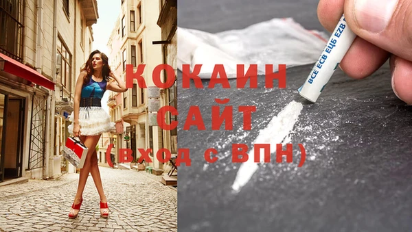 мдпв Богданович