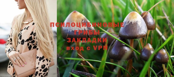 мет Бронницы